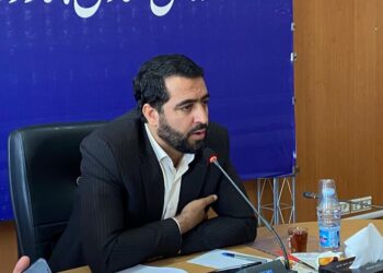 تحقق ۱۰۰ درصدی اشتغال شهرستان‌های استان کرمان در سامانه ملی رصد