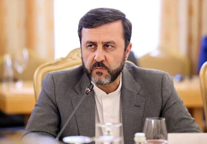 تصمیم ایرلند برای تصویب ممنوعیت واردات کالا از اسرائیل قابل تقدیر است