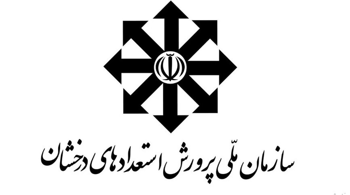ثبتنام مدارس سمپاد برای این دانشآموزان رایگان شد ثبتنام مدارس سمپاد برای این دانشآموزان رایگان شد