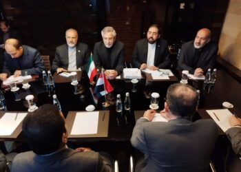 دیدار علی باقری با مشاور امنیت ملی سوئیس در مسکو