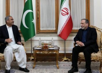 دیدار وزیر کشور پاکستان با عراقچی