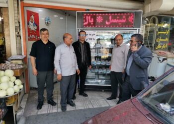 رصد وضعیت کالاهای اساسی در بازار الیگودرز و دورود