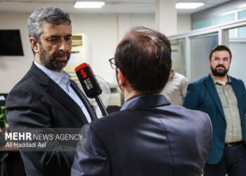 طباطبایی: دولت برای مهار تورم و حمایت معیشتی برنامه دارد