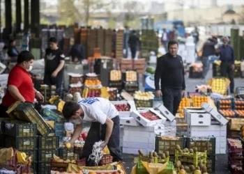 طرح تشدید نظارت بر کالاهای کشاورزی کلید خورد/ ۳۱ هزار پرونده تخلف در ۱۴۰۴