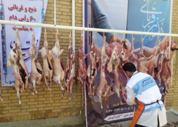 فعالیت ۸۸ اکیپ دامپزشکی برای نظارت بر ذبح شرعی در آذربایجان‌شرقی