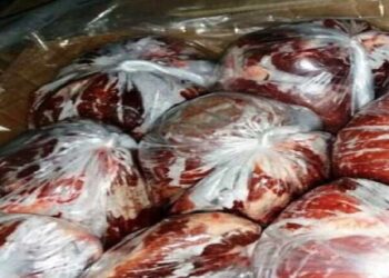 محموله گوشت اسب در سنقروکلیایی معدوم شد