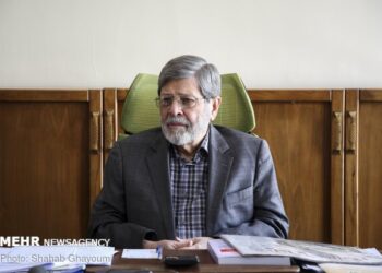 مرندی: باید از ظرفیت‌های علمی طب ایرانی استفاده کنیم