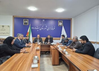 میاندورود پایلوت بازنگری سهمیه آرد می‌شود