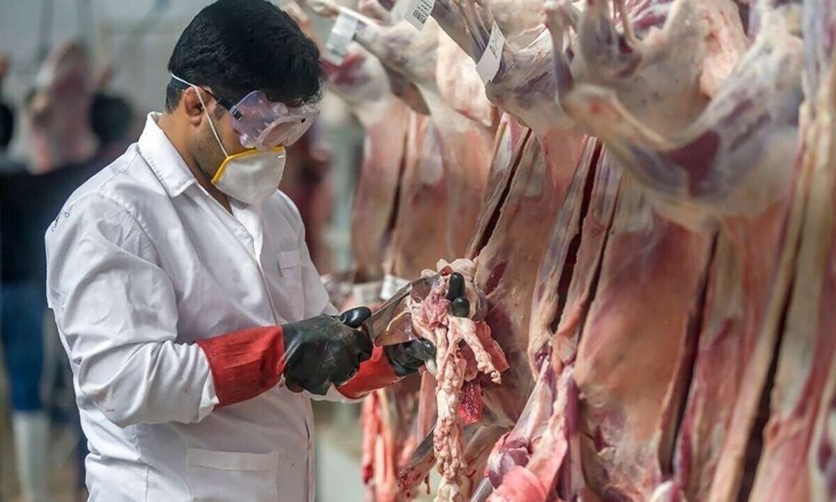 نکات بهداشتی ذبح دام در عیدقربان/ نحوه نگهداری گوشت قربانی اعلام شد