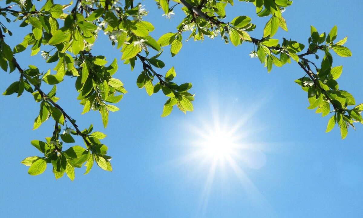 هواشناسی هشدار داد / جهش دما در شمال و تهران