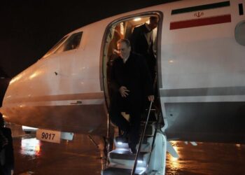 وزیر امور خارجه وارد تهران شد