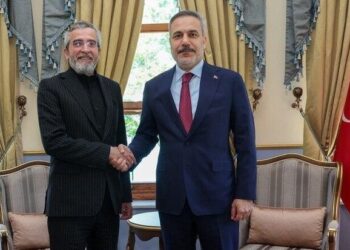 وزیر خارجه ترکیه با علی باقری دیدار کرد
