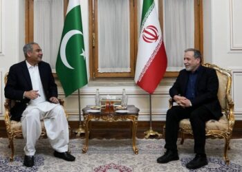 گفتگوی وزیر کشور پاکستان با عراقچی درباره آخرین وضعیت امنیتی منطقه