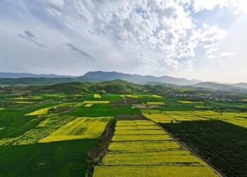 آمادگی برای مبارزه با آفات کشت‌های تابستانه در لرستان