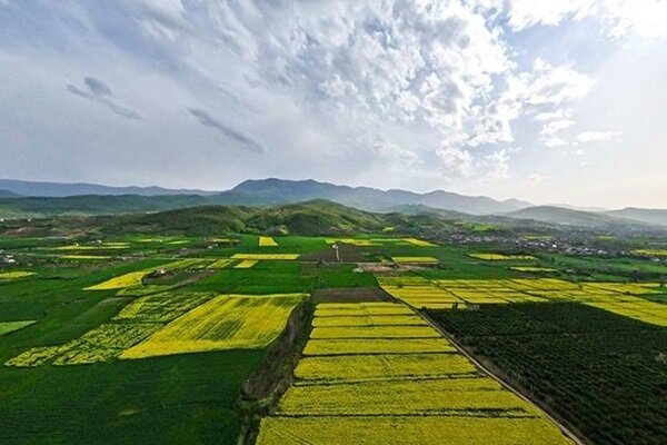 آمادگی برای مبارزه با آفات کشت‌های تابستانه در لرستان