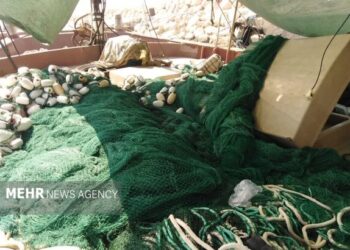 ادوات ممنوعه صید در اسکله‌های جنوبی استان بوشهر کشف شد