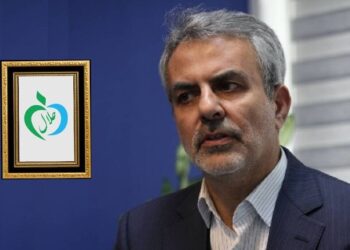 ارزیابی حلال مکملها صرفاً محدود به ماده مؤثره نیست ارزیابی حلال مکملها صرفاً محدود به ماده مؤثره نیست