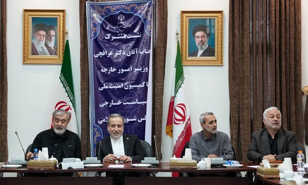 جزئیات دیدار اعضای کمیسیون امنیت ملی مجلس با عراقچی