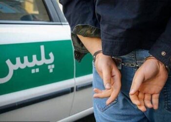 دستگیری سارقان فروشگاه‌های زنجیره‌ای در همدان
