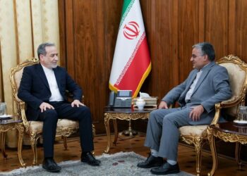  دیدار رئیس دفتر حفاظت منافع ایران در قاهره با عراقچی