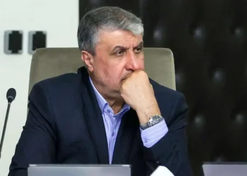 رئیس سازمان انرژی اتمی: دو واحد نیروگاه اتمی بوشهر اکنون در حال احداث هستند