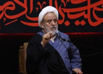 راز زنده ماندن مومنان در برزخ؛ هدایت، مشروط به ولایت است