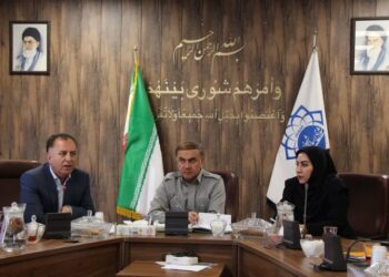 رضایی: صیانت از فضاهای سبز شهری مهمتر از احداث پارکهای جدید است رضایی: صیانت از فضاهای سبز شهری مهمتر از احداث پارکهای جدید است