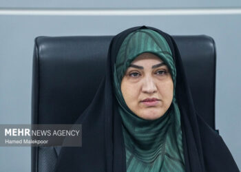 رفیعی: مجلس بر اجرای کامل مفاد تفاهم نظارت مستمر خواهد داشت