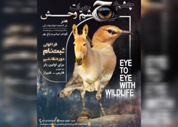 رویداد تجسمی «چشم در چشم حیاتوحش» برگزار میشود رویداد تجسمی «چشم در چشم حیاتوحش» برگزار میشود