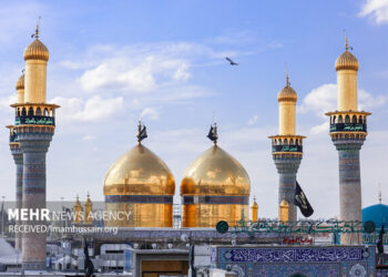 سیره تربیتی امام کاظم(ع) بر محور «تزکیه قبل از تعلیم» استوار بود