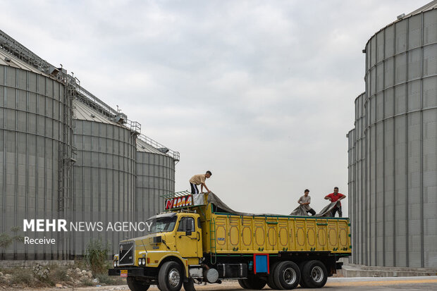 مازندران قطب راهبردی ذخیره‌سازی کالاهای اساسی می‌شود؛ احداث ۲ سیلو
