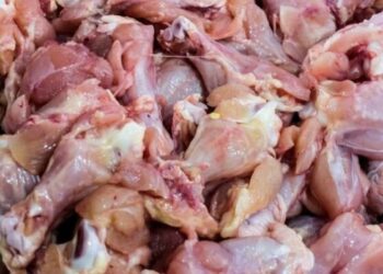 مواد غذایی فاسد در بوشهر کشف و معدوم‌سازی شد
