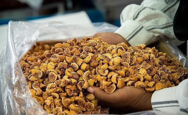 موقوفات چطور به حل مشکلات اقتصادی ورود کرده‌اند؟