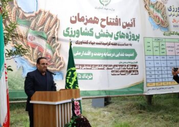 کشاورزی سراب در مسیر توسعه و سرمایه‌گذاری