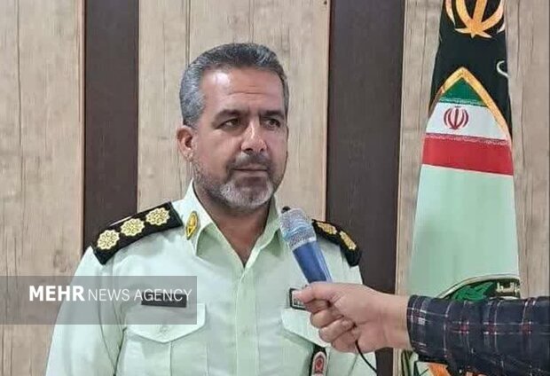 کشف ۲۵ راس احشام فاقد مجوز در میامی؛ ۲ خودروی متخلف توقیف شدند