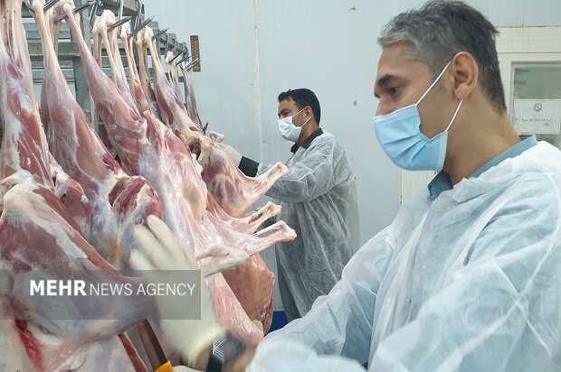 ۴۶ تن فراورده های خام دامی غیر بهداشتی در اردبیل معدوم شد