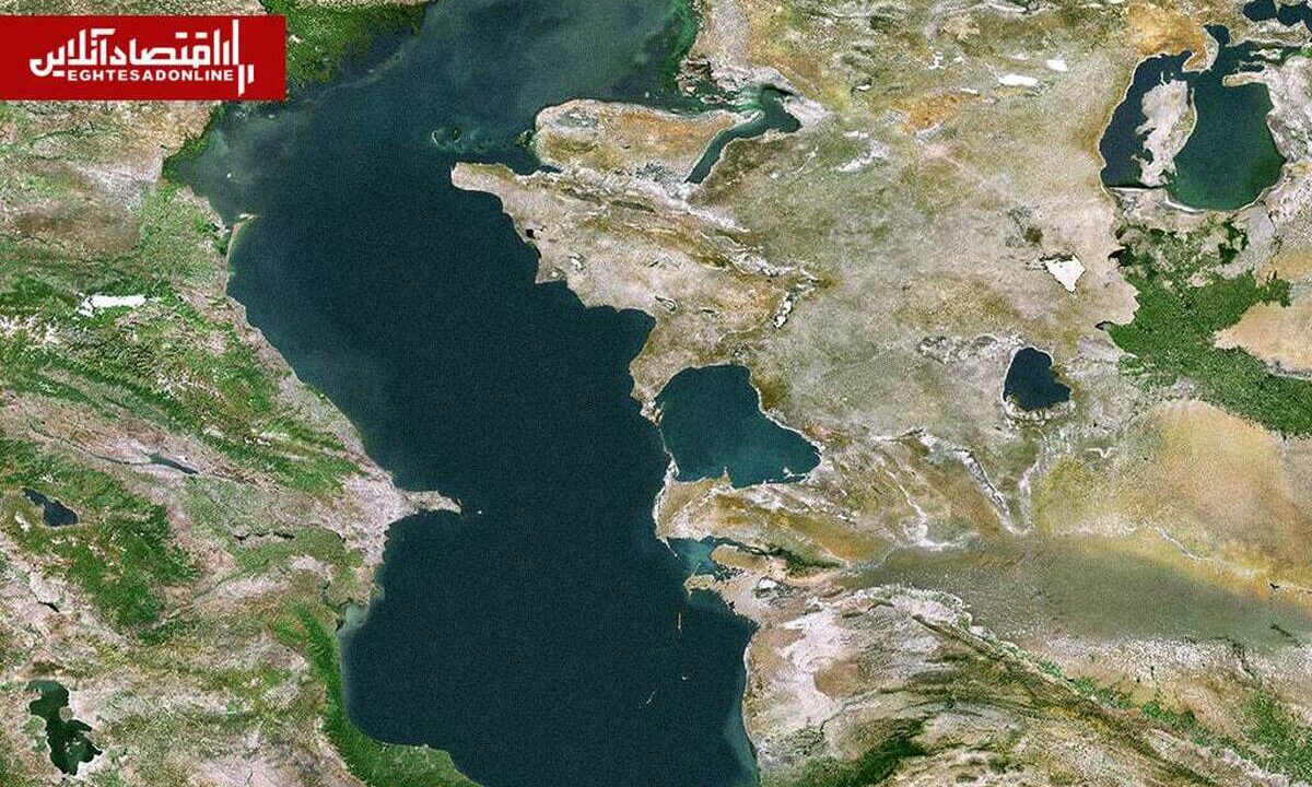 تراژدی خزر رقم خورد | اسفندیاری: دیگر امیدی به احیای منابع زیرزمینی نیست