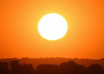 موج مرگبار گرما در آمریکا / دست‌کم ۲۵ نفر جان باختند