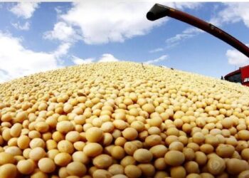 کاهش ۷.۴درصدی میانگین قیمت جهانی سویای صادراتی در ۲۰۲۵؛ سهم ایران از بازار جهانی چقدر است؟ کاهش ۷.۴درصدی میانگین قیمت جهانی سویای صادراتی در ۲۰۲۵؛ سهم ایران از بازار جهانی چقدر است؟