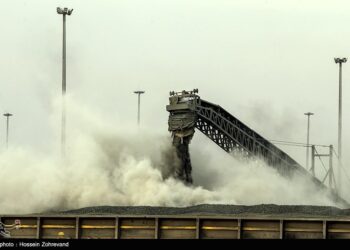 اعلام سقف قیمت ارزی گندم، چای و برنج برای ثبت سفارش