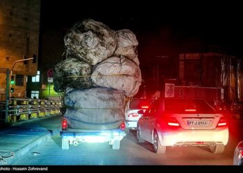 توقیف 900خودروی حمل پسماند/مهلت یکماهه دادستانی به شهرداری تهران