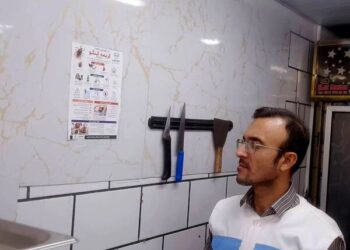 پیشگیری از تب کریمه کنگو در بوشهر؛ آموزش در دستور کار است