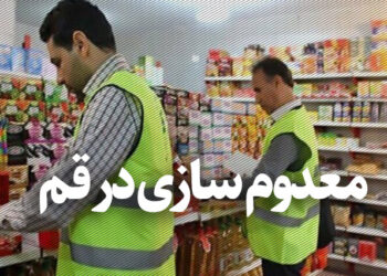 کشف و معدوم‌سازی ۱۴۰۰ کیلوگرم اسکلت مرغ غیربهداشتی در قم