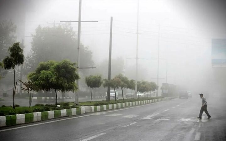 گرمای ۵۰ درجه و رطوبت ۱۰۰ درصدی در استان بوشهر؛ وضعیت نارنجی در شهرهای ساحلی گرمای ۵۰ درجه و رطوبت ۱۰۰ درصدی در استان بوشهر؛ وضعیت نارنجی در شهرهای ساحلی