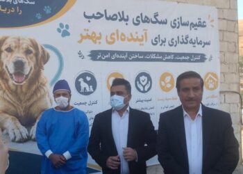 ۸۰۵ سگ در سنندج زنده گیری شد؛ لزوم آموزش شهروندان در مواجهه با سگ‌ها