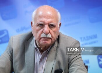 70 سامانه دولتی نفس اصناف را گرفته است