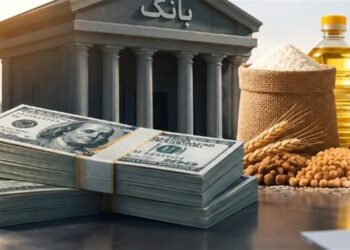 تسهیلات ارزی برای واردات کالای اساسی؛منابع بانک‌ها ازکجا تأمین می‌شود؟