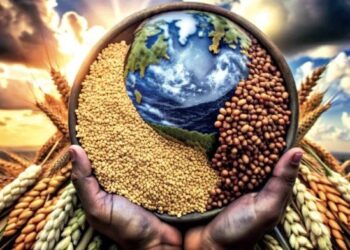 تولید جهانی غلات در مسیر بزرگترین افت از سال۲۰۱۸؛ دریای سیاه همچنان تهدید اصلی بازار