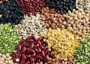 ثبت سفارش حبوبات باز شد