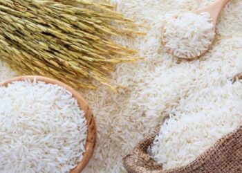 ثبت سفارش واردات انواع برنج از امروز آغاز می‌شود